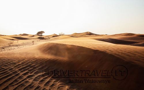 Oman, il Rub al Khali, parte dell' Empty Quarter.